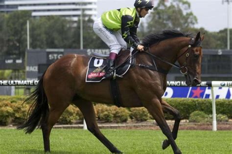warwick farm trials|The Trial Files: Warwick Farm mail .